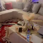 كنب مع الطاوله والفراش