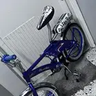 رامبو (اصلي)