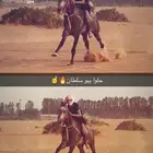 حصان شعبي