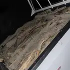 مسحه غمارتين