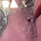 مرتبه ددسن غمارتين