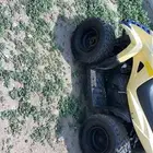 دباب كوبي نضيف
