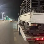 سطحه القنفذة