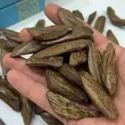 عود مروكي طبيعي محسن بيور