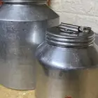 سمن بقر حياكم الله
