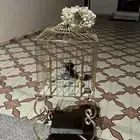 زينه للحفلات