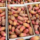 خرفه برني 50 كرتون من 10 ريال مناصبف جاهز للفرزته