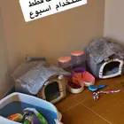 مستلزمات قطط نظيفه استخدام اسبوع