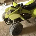 دباب رام للبيع
