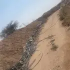 ليات سكراب