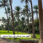 مطلوب مزرعة او استراحة