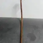 مشعاب عتم