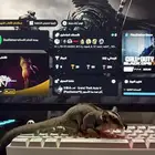 شوقر قلايدر (سنجاب طائر)