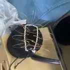 شبك صيد الصقور 2025