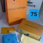 محافظ لويس فاتون