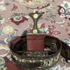 جنبيه وتر