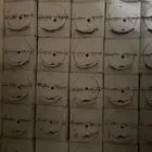 خلايا نحل جديدة