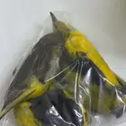 صفاري صيد محلي
