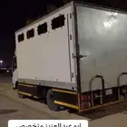 نقل خيول