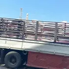 تمر حق حلال نظيف حق حلال