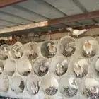 حمام زاجل كريمي