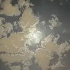 مطلوب شقة عوائل غرفتين وصالة ومجلس (عرسان)