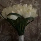 مسكه عرايس توليب