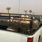 توصيل جميع المناطق