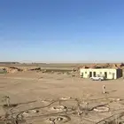 مزرعة شمال بريدة بكبد 80 كيلو صكين والمطلوب 250 الف