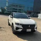 فاو تي 77 ممشى 52