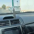 كداد