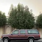 جمس 1996 الجميح بودي بلد وكاله