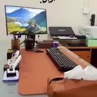 جميع صحائف الدعوى