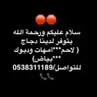 متوفر دجاج لاحم وبياض وامهات