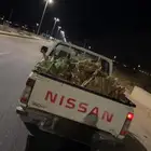 حطب سمر وطلح