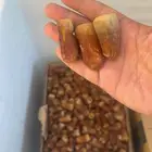 تمر برني فاخر