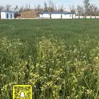 نستقبل حجوزات الاجازة بمخيم مزرعة ريف والبيت الريفي بمسبح