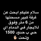 ابحث عن شقة للايجار في الدمام او الخبر اهم شي كبير