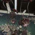 للبيع 50 ريال