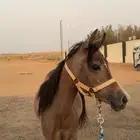 مهره
