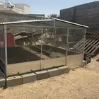 شبك دجاج جديد