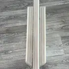 فورد فكتوريا