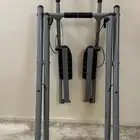 الغزال الطائر