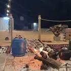 مطلوب شاليه او استراحه