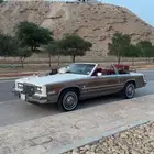 كدلك الدورادو نوادر 84 كشف