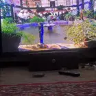 للبيع شاشة