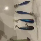 طعم صيد من نوع  ووبر بلوبر