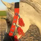 حصان عربي اصيل