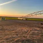 مشروع برسيم