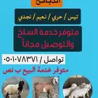 للبيع جميع أنواع الأغنام متوفر خدمك السلخ والتوصيل مجانا